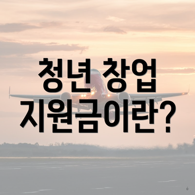 청년 창업 지원금이란?