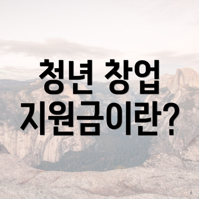 청년 창업 지원금이란?