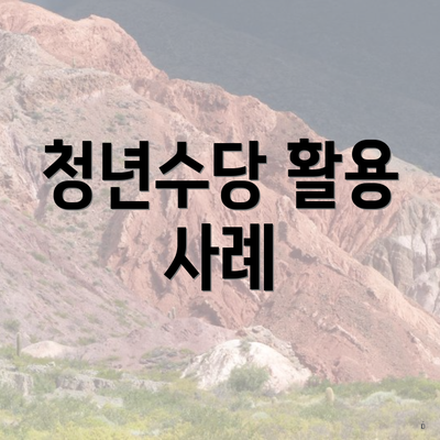 청년수당 활용 사례