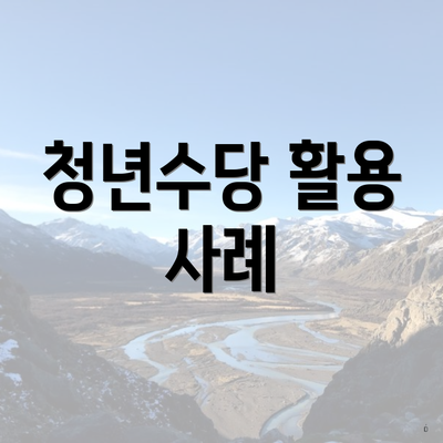청년수당 활용 사례