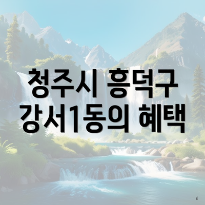 청주시 흥덕구 강서1동의 혜택