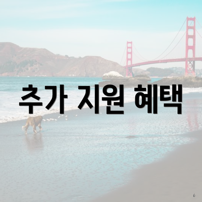 추가 지원 혜택