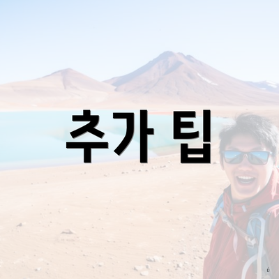 추가 팁