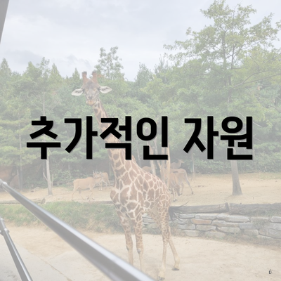 추가적인 자원