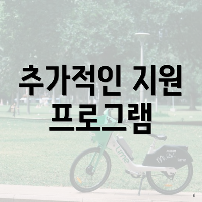 추가적인 지원 프로그램