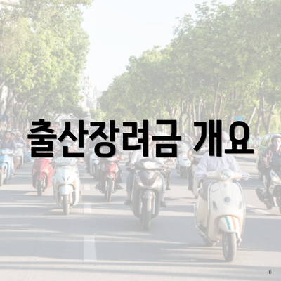출산장려금 개요