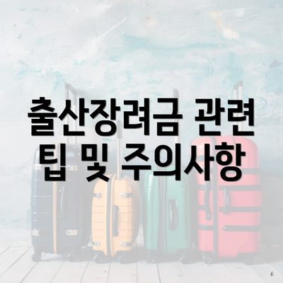 출산장려금 관련 팁 및 주의사항