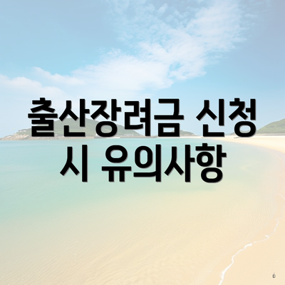 출산장려금 신청 시 유의사항
