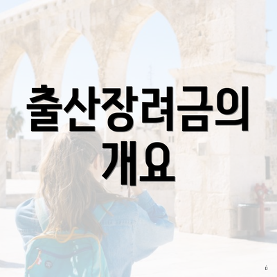 출산장려금의 개요