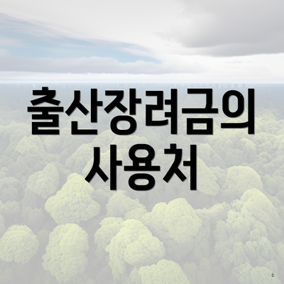 출산장려금의 사용처
