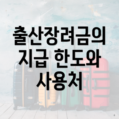 출산장려금의 지급 한도와 사용처