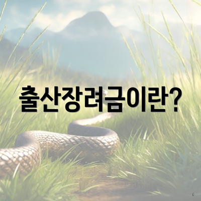 출산장려금이란?