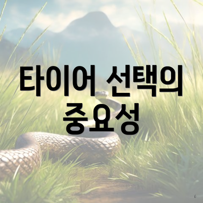 타이어 선택의 중요성