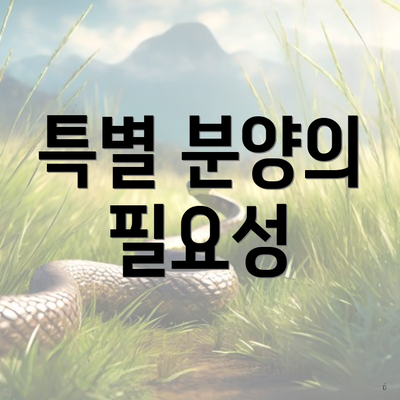 특별 분양의 필요성