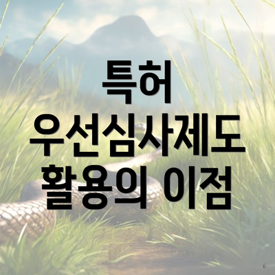 특허 우선심사제도 활용의 이점