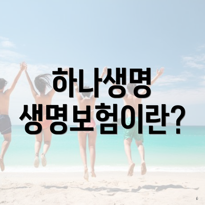 하나생명 생명보험이란?