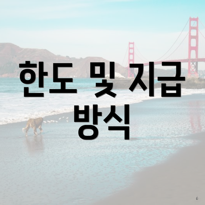 한도 및 지급 방식