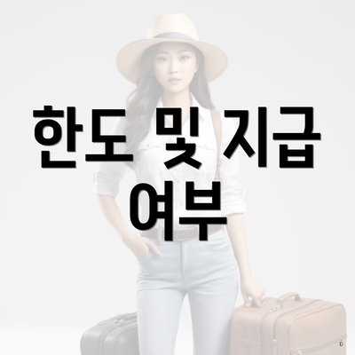 한도 및 지급 여부