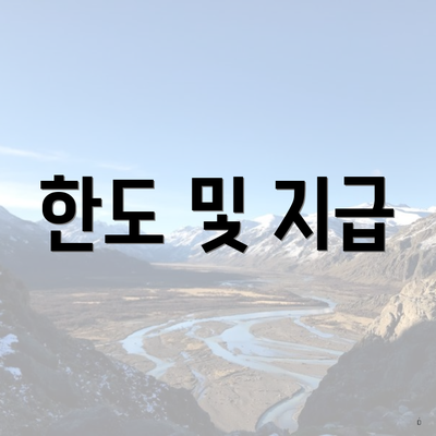 한도 및 지급
