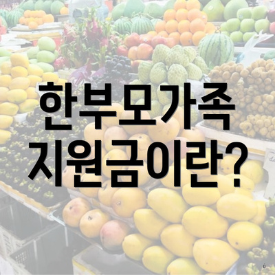 한부모가족 지원금이란?
