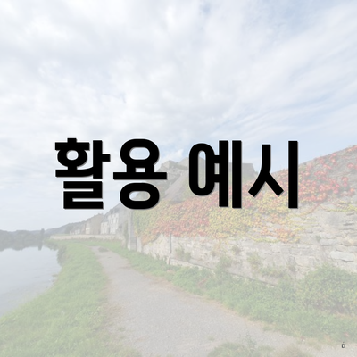 활용 예시