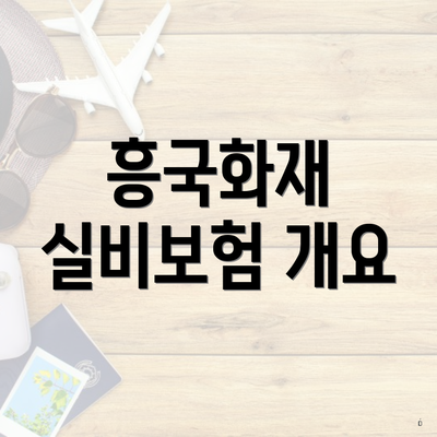 흥국화재 실비보험 개요
