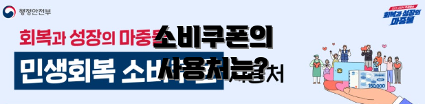 소비쿠폰의 사용처는?