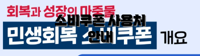 소비쿠폰 사용처 안내