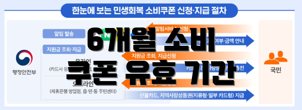 6개월 소비 쿠폰 유효 기간