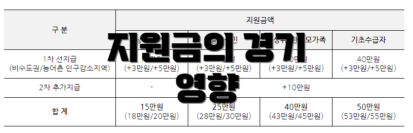 지원금의 경기 영향