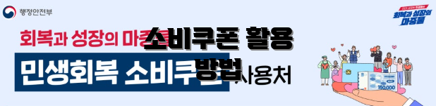 소비쿠폰 활용 방법