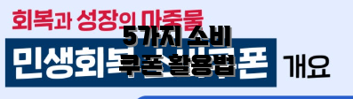 5가지 소비 쿠폰 활용법