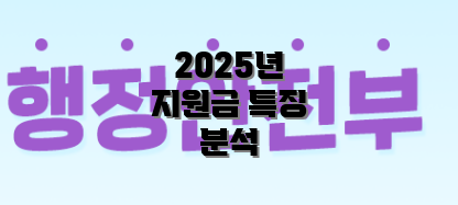 2025년 지원금 특징 분석
