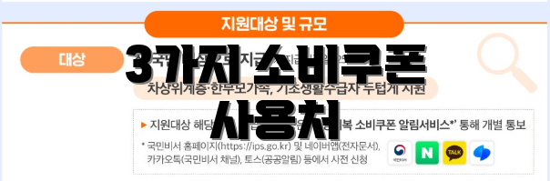 3가지 소비쿠폰 사용처