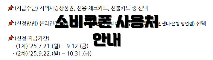 소비쿠폰 사용처 안내