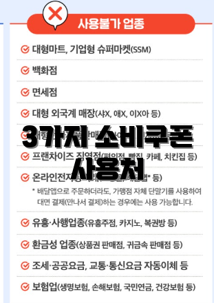 3가지 소비쿠폰 사용처